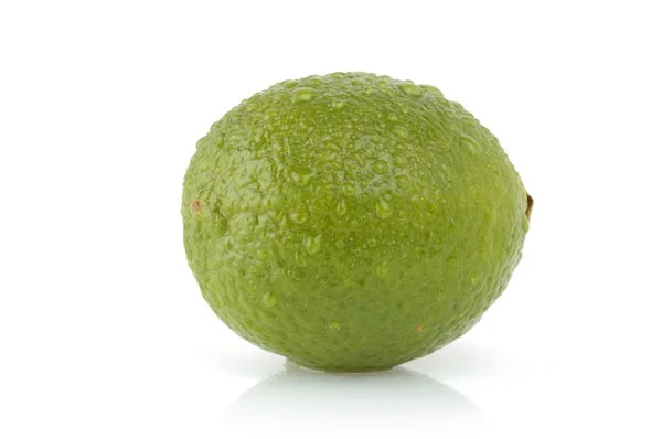 Lime isolerad på vit — Stockfoto