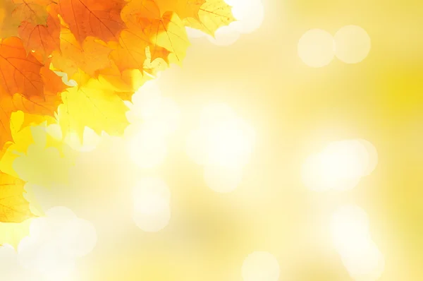 Angolo decorazione autunno fatto di foglie — Foto Stock