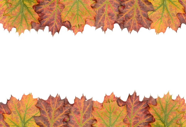 Autumn decoration frame made of leaves — Stock Photo, Image