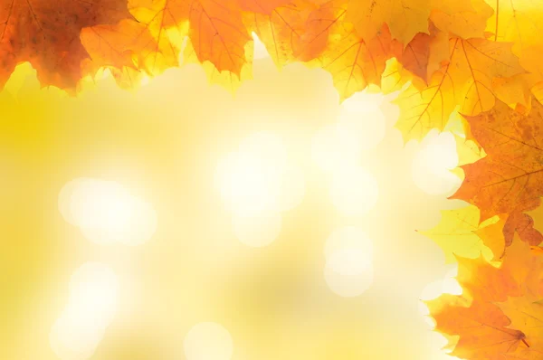Cornice decorazione autunno fatta di foglie — Foto Stock