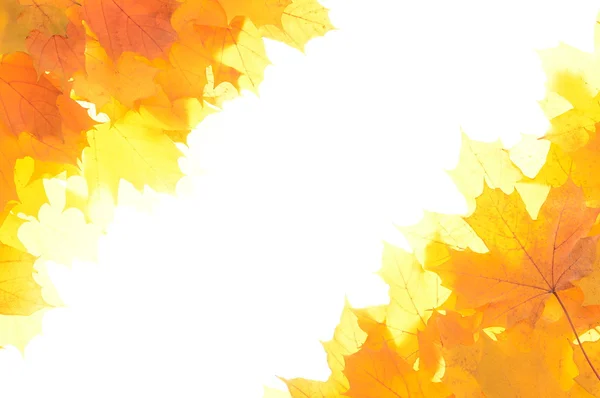 Autumn decoration corners made of leaves — Stock Photo, Image