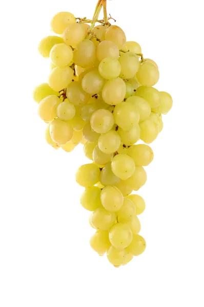 Ramo de uvas blancas — Foto de Stock