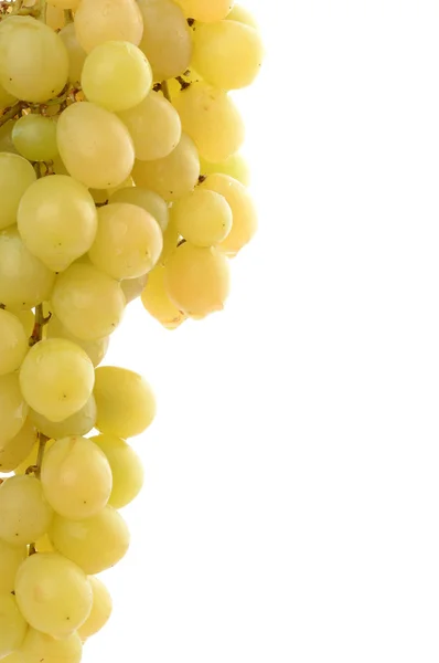 Quadro ravvicinato delle uve — Foto Stock