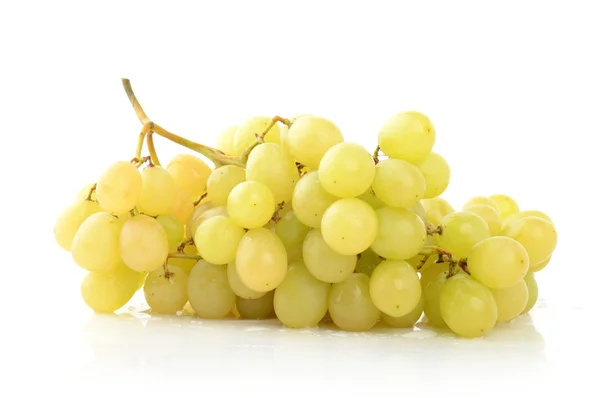 Ramo de uvas blancas — Foto de Stock