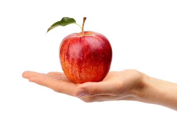 Studio shot of red apple with leaf on hand — Stock Photo, Image