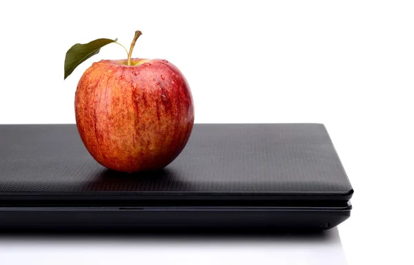 Snack hele rode appel met SAP op laptop — Stockfoto