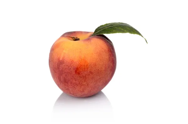 Студийный снимок целого свежего персика на белом фоне — стоковое фото