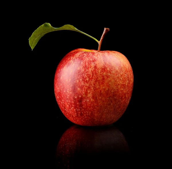 Studio shot of red apple with leaf — Stock Photo, Image