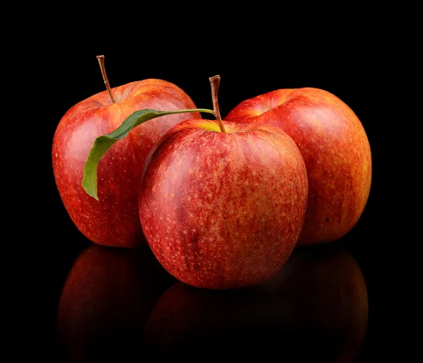 Estudio de manzanas rojas con hoja — Foto de Stock