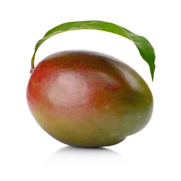 Studio shot of one whole mango with leaf isolated — Stock Photo, Image