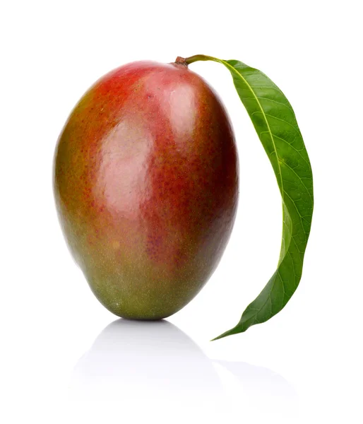 Estudio plano de un mango entero con hoja aislada — Foto de Stock