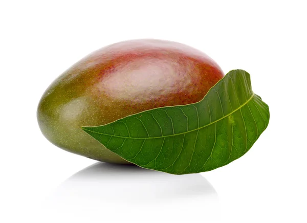 Studioaufnahme einer ganzen Mango mit isoliertem Blatt — Stockfoto