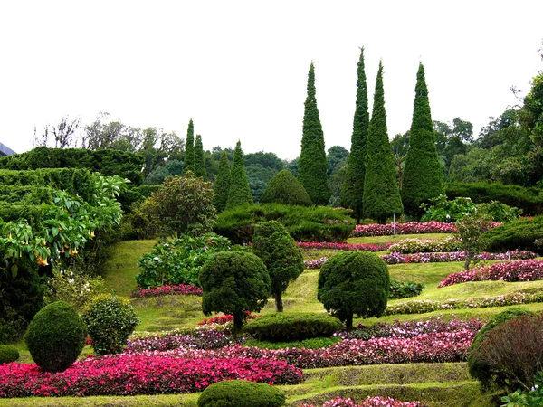 Parque de flores en la colina —  Fotos de Stock