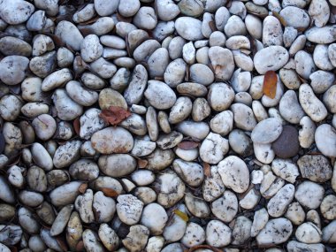 düşen yaprakları ile Taş dokusu