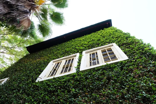 Fenêtre en bois sur le mur vert — Photo