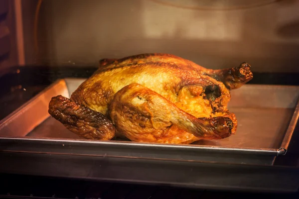 오븐에 구운 닭고기 — 스톡 사진