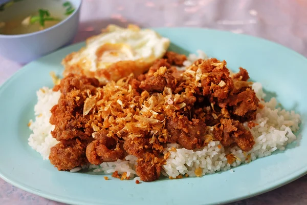 亚洲作饵猪肉和米饭和汤 — 图库照片