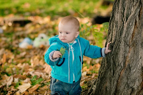 Niño caminando en el parque —  Fotos de Stock