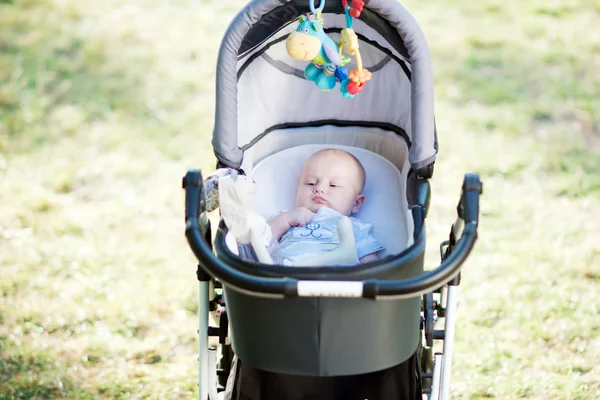 Baby i barnvagnen Royaltyfria Stockbilder