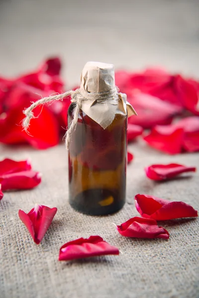 Flasche ätherisches Öl und rote Rosen, Parfümwasser — Stockfoto