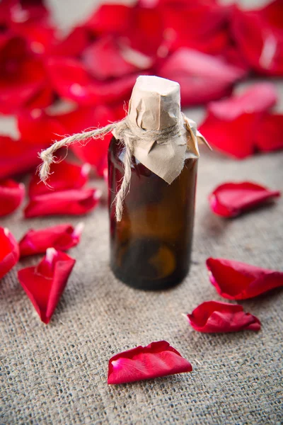 Eteerinen öljy pullo ja punaisia ruusuja, hajuvettä — kuvapankkivalokuva