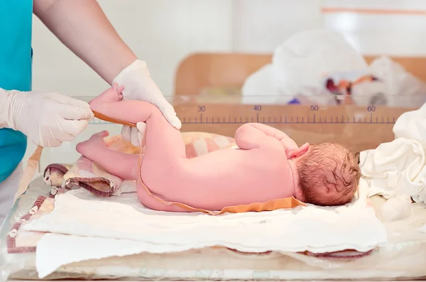 Measurement of the newborn in the hospital — Stock Photo, Image