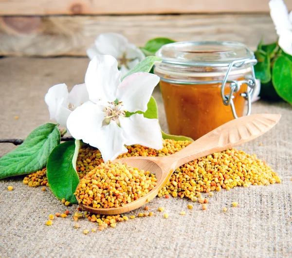 Pollen. Großaufnahme Bienenpollen — Stockfoto