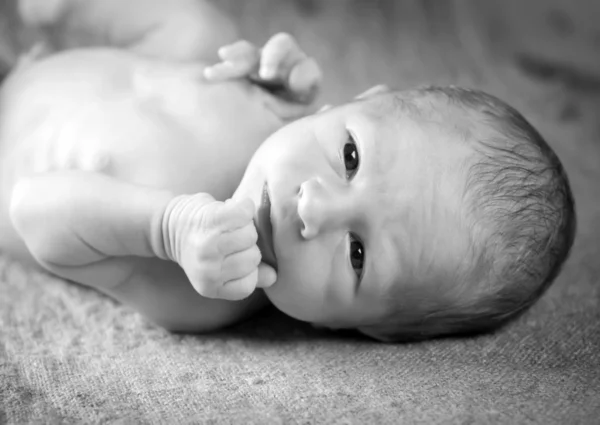 Newborn — Stock Photo, Image