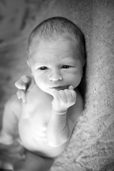 Newborn — Stock Photo, Image