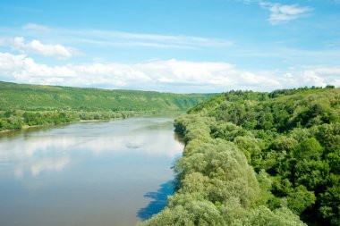 iğne yapraklı orman Nehri