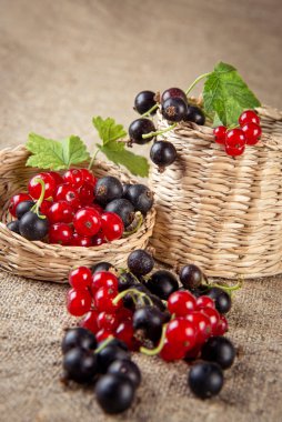 sepet içinde kırmızı ve Siyah frenk üzümü