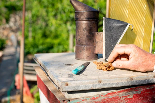 Un apiculteur inspecte les ruches. Cadre avec des abeilles . — Photo