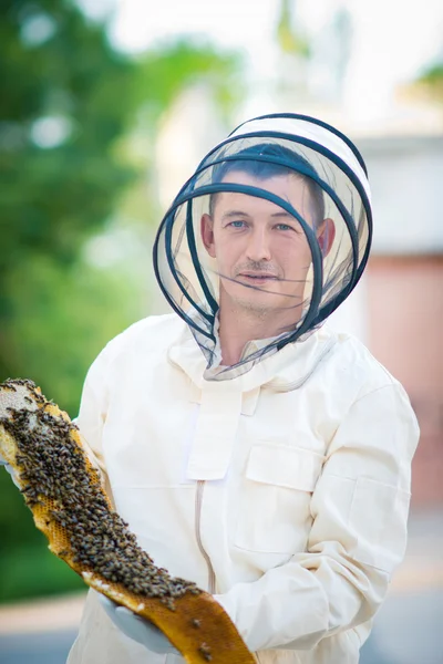 Imker inspiziert Bienenstock — Stockfoto