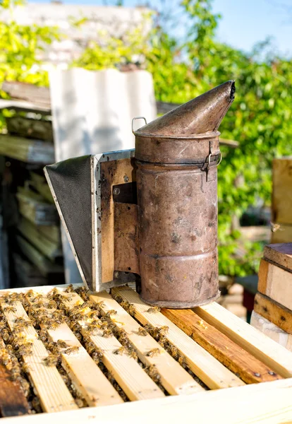 Un apiculteur inspecte les ruches. Cadre avec des abeilles . — Photo