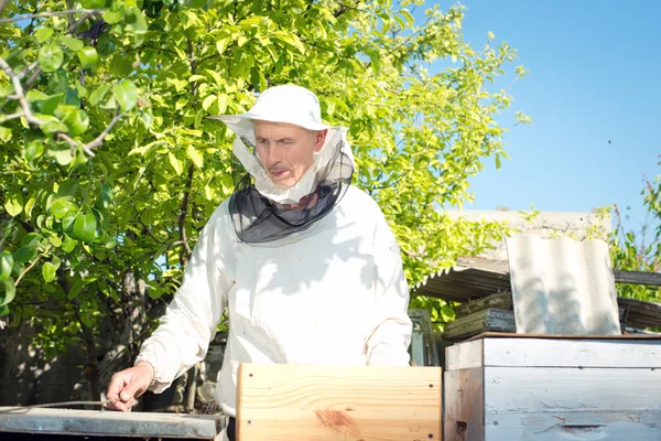 Un apiculteur inspecte les ruches. Cadre avec des abeilles . — Photo