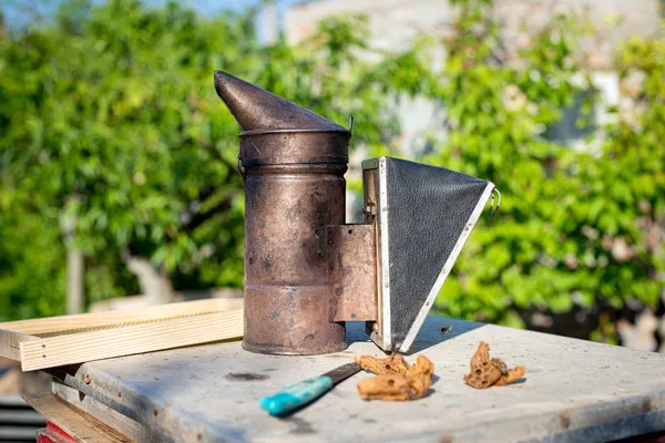 Un apiculteur inspecte les ruches. Cadre avec des abeilles . — Photo