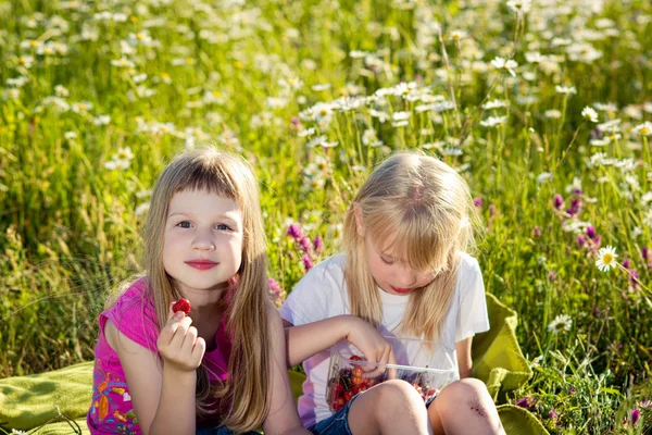 Deux belles filles sur la nature — Photo