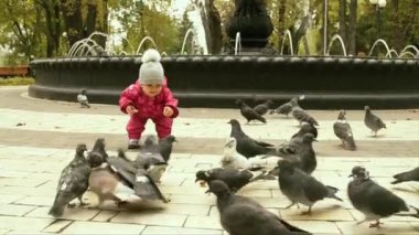 Bebek ve parktaki güvercinler