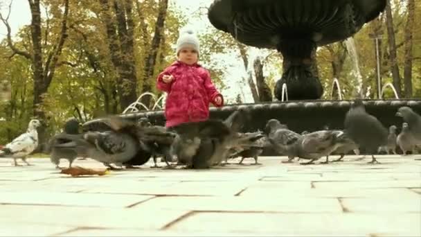 Een baby en duiven in het park — Stockvideo
