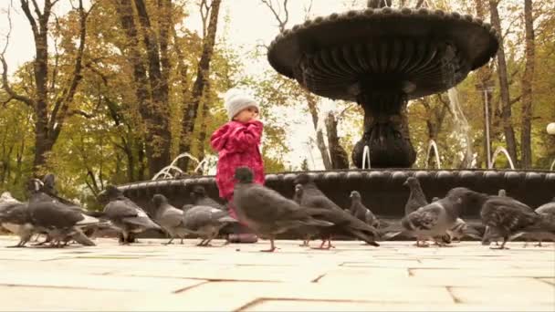 Un bebé y palomas en el parque — Vídeos de Stock