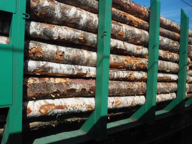 kargo kereste treni. İhracat için kereste dolu bir yük arabası. Ormanların yok edilmesi ve ekoloji. Malların demiryolu ile taşınması. İş lojistiği. Yeşil çelik kelepçeler. Yasadışı kayıt.