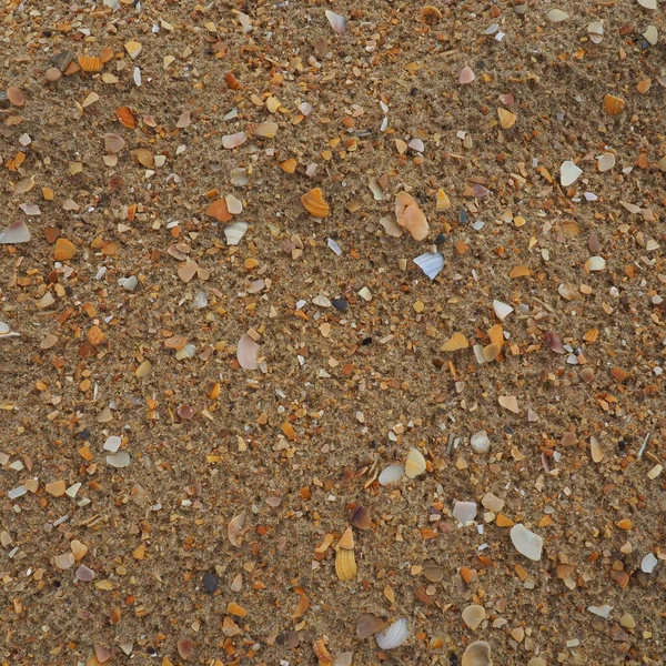 Sand mit Muscheln Hintergrund. Nasser grober Quarzsand. Zerbrochene Muscheln. Strand nach starkem Regen. Kieselsäure. Quarzsand zerkleinert, natürliches braunes Material nach dem Sturm. Dents von Tropfen im Sand. Anapa — Stockfoto