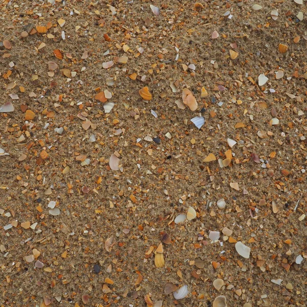 Sand with seashells background. Wet coarse quartz sand. Broken seashells. Beach after heavy rain. Silica. Crushed quartz sand, natural brown material after storm. Dents from drops in the sand. Anapa — Stock Photo, Image