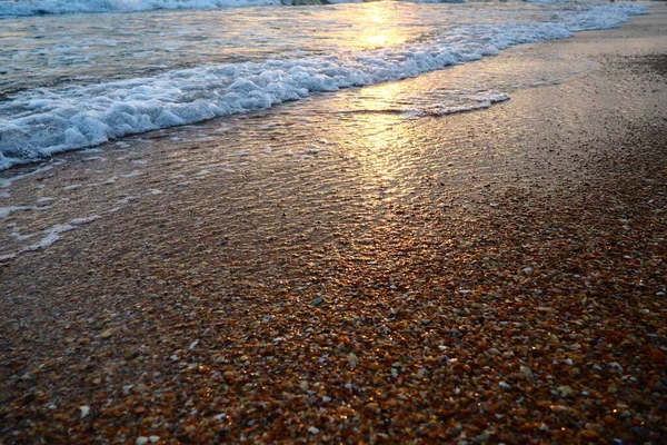 砂浜の上に泡立つ波が転がる。海の上の夕日。美しい夕日。観光地、リゾート。太陽光線は水から反射される。黄金の時間で貝殻と砂浜 — ストック写真