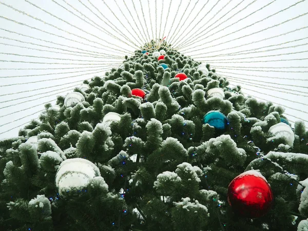枝や針に雪のクリスマスツリー 美しい白 赤いボールとガーランドで作られた装飾 木の上から ガーランドはさまざまな方向に伸びています — ストック写真