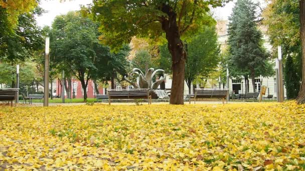 树叶落在城市公园里 一阵风使树叶飘扬 一条没有人的街道秋天的天气 印度的夏天银杏叶落在地上 黄叶和落叶 — 图库视频影像