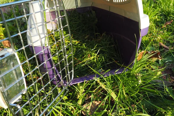 Grama Colhida Uma Gaiola Estimação Transportadora Gato Cuidados Com Animais — Fotografia de Stock