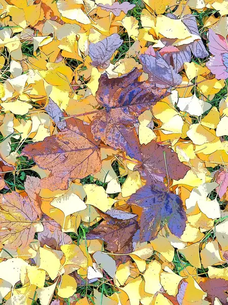 Ginkgo biloba Blätter und Ahornblätter liegen auf dem Boden. Gelbes, braunes und weinrotes Laub. Ginkgo und Ahorn. Herbst im Stadtpark oder Wald. Farbenfroher Hintergrund zum Thema Altweibersommer — Stockfoto