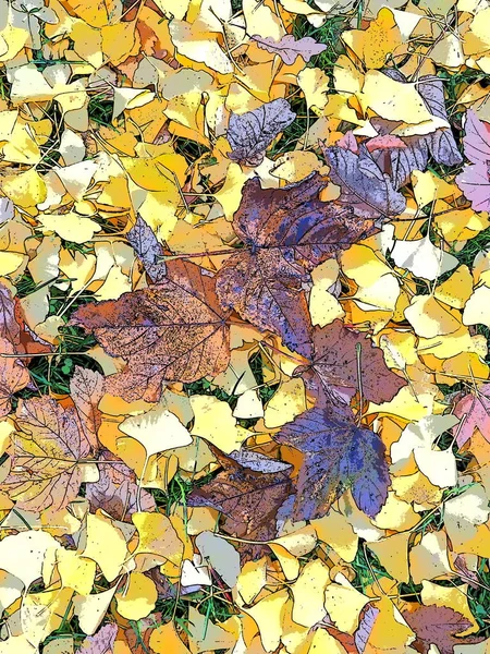 Ginkgo biloba liści i liści klonu leżących na ziemi. Żółte, brązowe i bordowe liście. Ginkgo i klon. Jesień w parku miejskim lub lesie. Kolorowe tło na temat indyjskiego lata — Zdjęcie stockowe