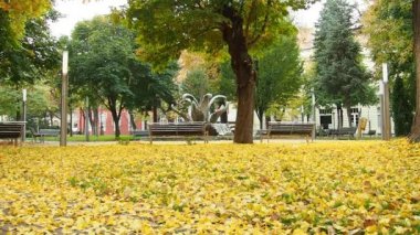 Şehir parkında yapraklar dökülüyor. Rüzgâr esintisi yaprakların uçmasına neden olur. İnsansız bir sokak. Sonbahar havası. Hint yazı. Ginkgo biloba yaprakları yere düşer. Sarı yapraklar ve dökülen yapraklar.